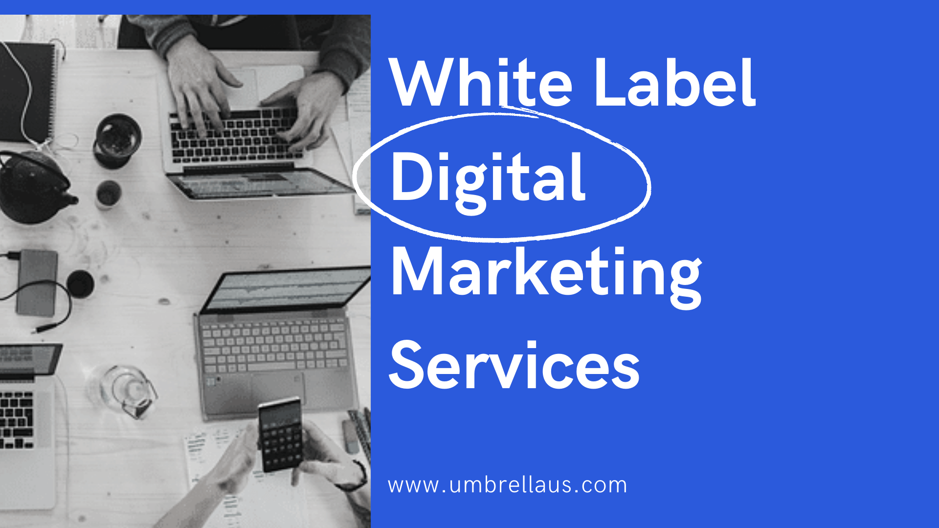 Best White Label Digital Marketing Services - Umbrella