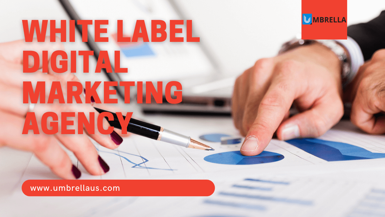 white label digital marketing agency