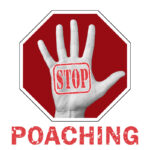 hand that says "Stop Poaching"